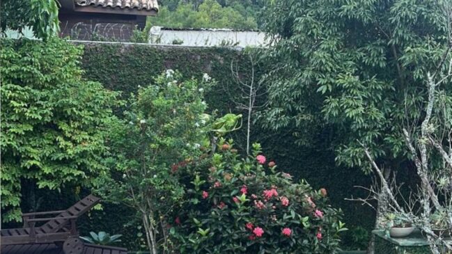 Casas com características semelhantes no Camorim podem custar entre R,5 milhão e R milhões, dependendo da estrutura e localização