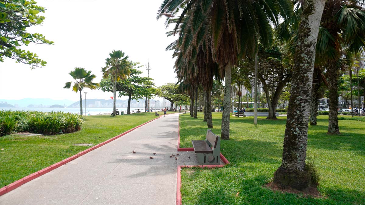 Gonzaga, Aparecida e Embaré encabeçam lista dos bairros mais disputados