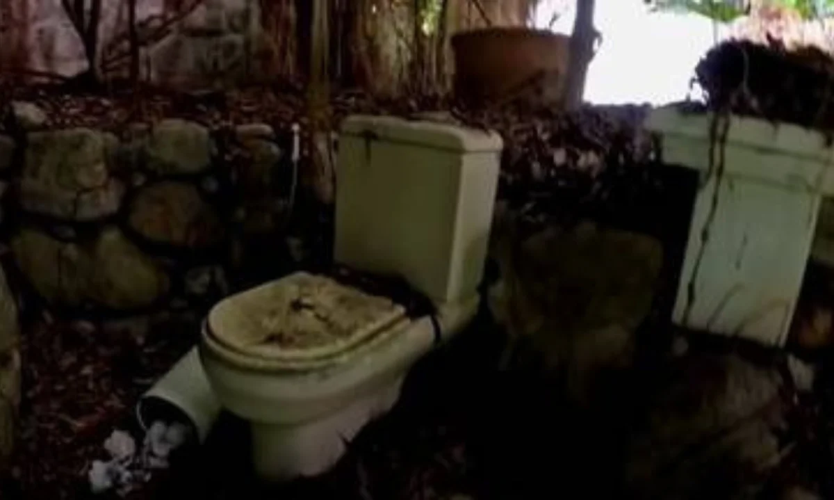 A situação atual da mansão de Clodovil é de abandono e destruição