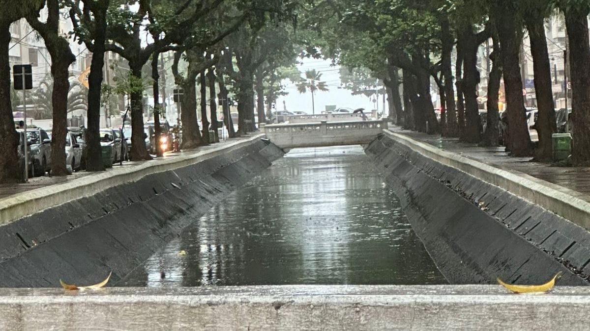 Tilápias do Nilo foram identificadas nos canais de Santos; espécie invasora se adaptou ao ambiente urbano da cidade. Nair Bueno/DL