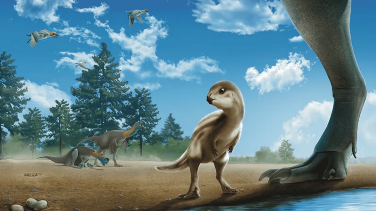 O animal foi batizado de Doolysaurus huhmini, em referência ao personagem Dooly, o Pequeno Dinossauro