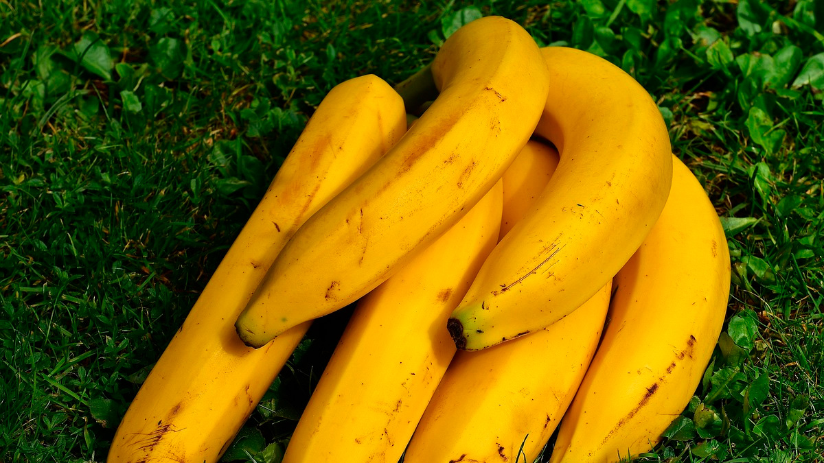 Com alguns cuidados simples, no entanto, é possível prolongar a durabilidade e manter o sabor por mais dias.