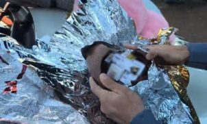 Durante a vistoria nas bagagens dos passageiros, os policiais encontraram dois ovos de chocolate embrulhados