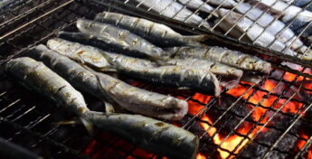 A iniciativa dos permissionários visa incentivar o consumo de pescado fresco e valorizar uma das espécies mais tradicionais do nosso litoral