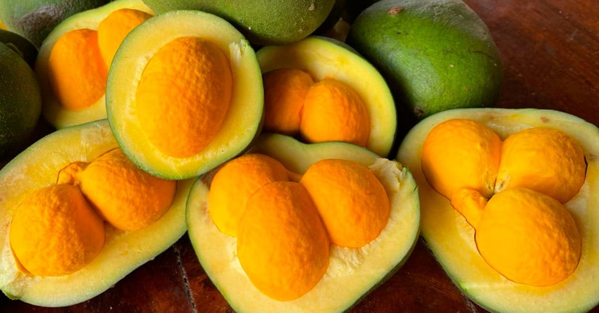 Apesar da popularidade gastronômica, o odor intenso sempre foi apontado como um obstáculo para a expansão comercial do fruto.