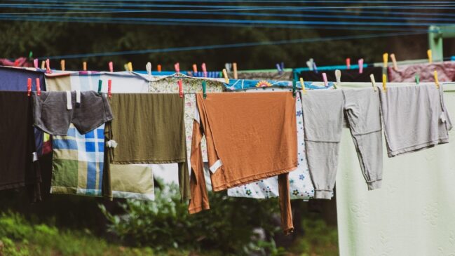 A recomendação é sacudir bem cada peça antes de recolher, principalmente roupas de algodão