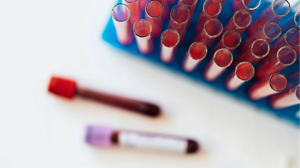 Descoberta pode ajudar médicos a entender melhor como o corpo envelhece