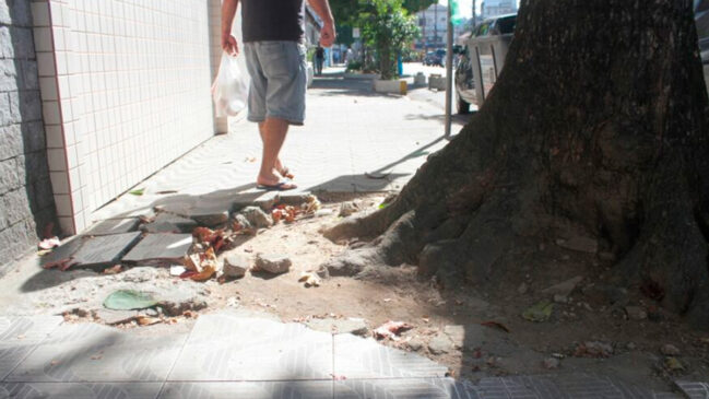 Moradores de Santos frequentemente enfrentam um problema comum nas ruas da cidade: raízes de árvores que levantam ou quebram as calçadas, dificultando a circulação de pedestres