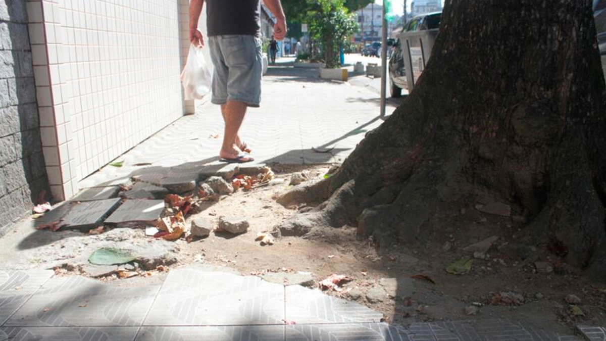 Moradores de Santos frequentemente enfrentam um problema comum nas ruas da cidade: raízes de árvores que levantam ou quebram as calçadas, dificultando a circulação de pedestres