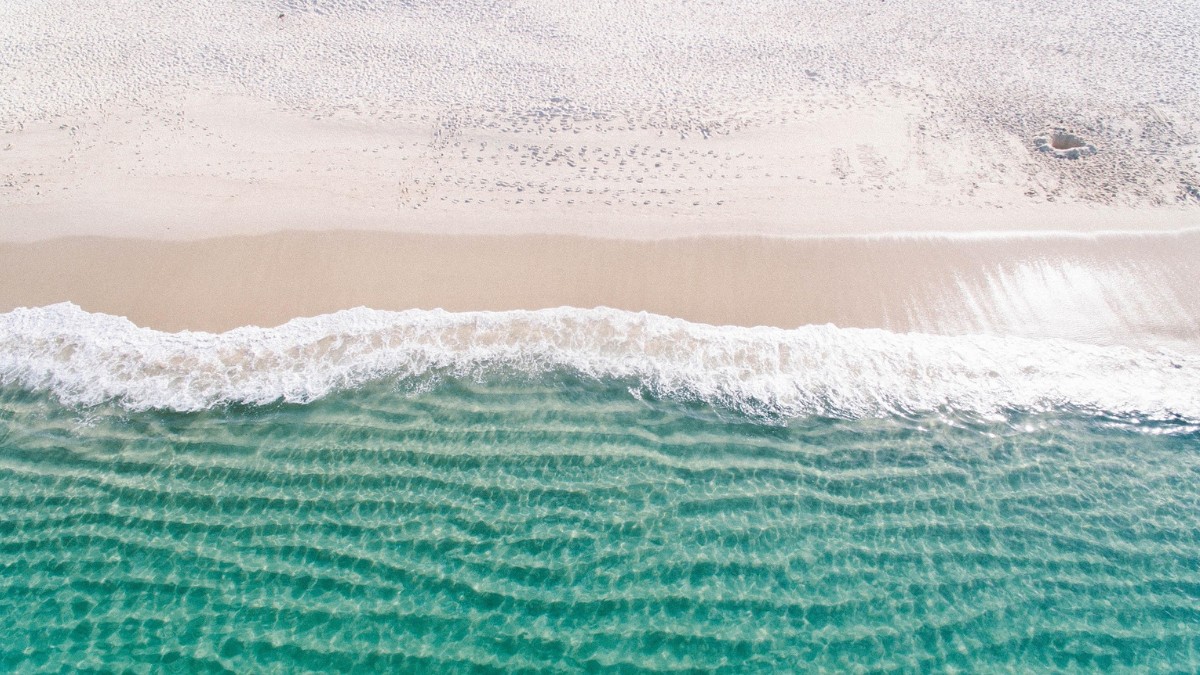 Logo abaixo dos pés dos banhistas, existe um mundo pouco explorado / Pexels/Pixabay