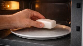O processo começa colocando o pedaço de sabonete no micro-ondas por cerca de 30 segundos