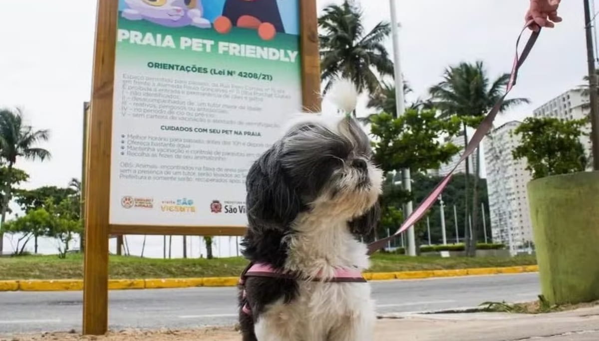 A obra integra o programa 'São Vicente de Cara Nova', capitaneado pelo prefeito Kayo Amado, que visa revitalizar espaços públicos e aquecer o turismo local