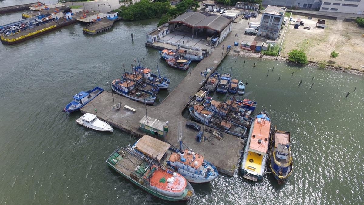 Leilão do Terminal Pesqueiro Público do Porto de Santos foi adiado pelo Governo Federal