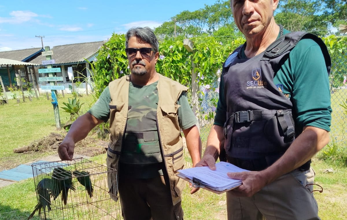 O araçari-banana foi resgatado pela equipe da Concessionária Novo Litoral (CNL) às margens da Rodovia Padre Manoel da Nóbrega, no município de Pedro de Toledo, após sofrer uma colisão / DIvulgação