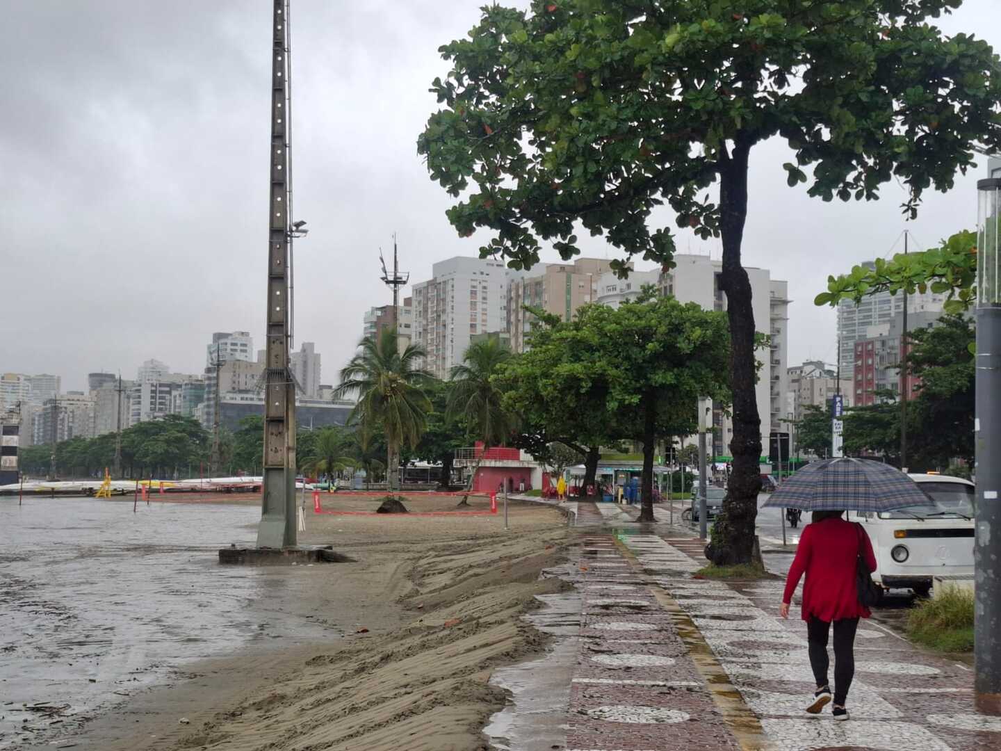 Nair Bueno - Diário do Litoral