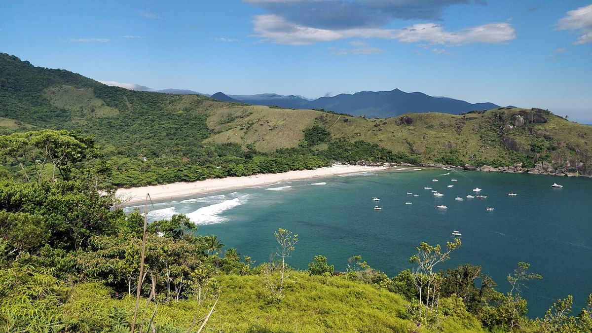 Trecho da trilha de 12 km que leva ao Bonete. O trajeto, que atravessa o Parque Estadual de Ilhabela, exige preparo físico e pode durar de três a cinco horas, passando por cachoeiras (Jcornelius/commons wikimedia)