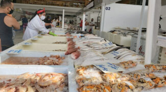 Durante a Semana Santa, é tradição para muitos brasileiros, principalmente os católicos, substituir a carne vermelha por frutos do mar