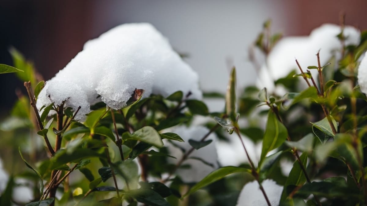 Estados do sul do Brasil costumam receber neve durante o inverno