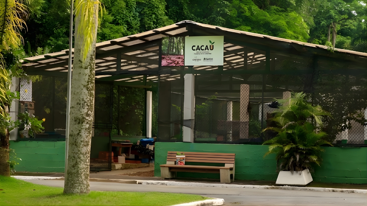 Jardim Botânico Chico Mendes conta com diversas atividades de segunda à sexta-feira