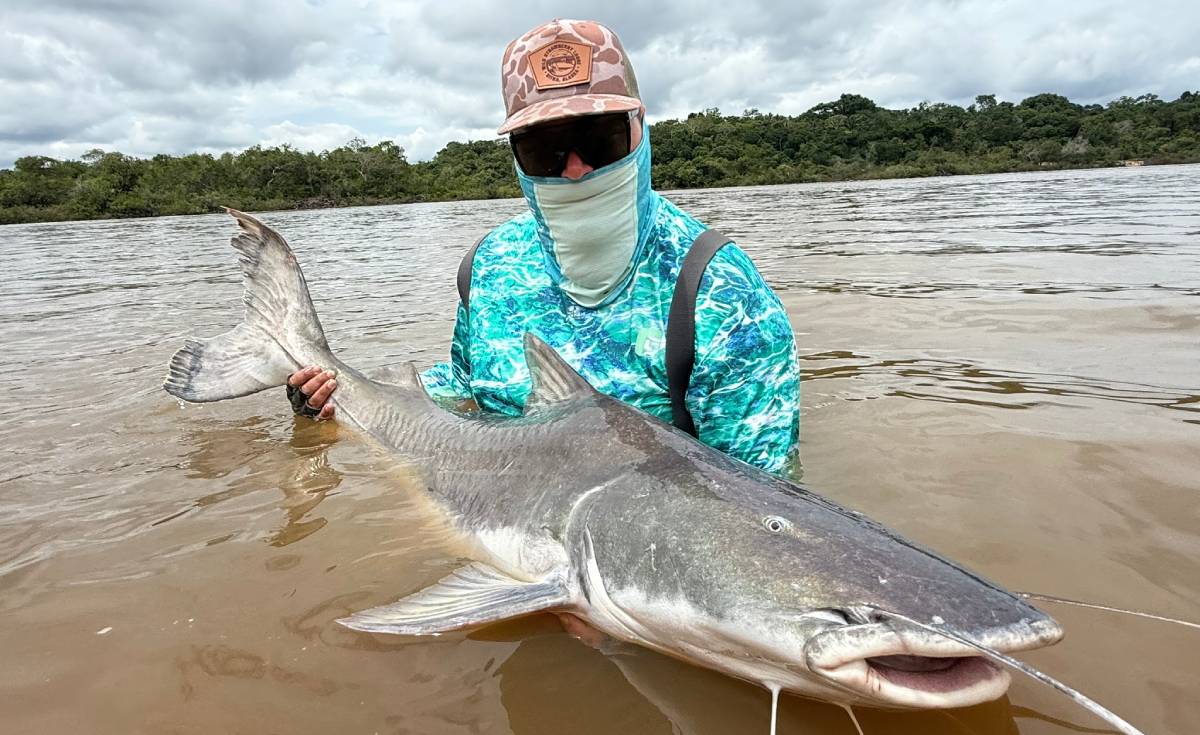 Os irmãos explicam que, apesar de já terem pescado outros espécimes, este foi o maior, pesando quase 100 kg