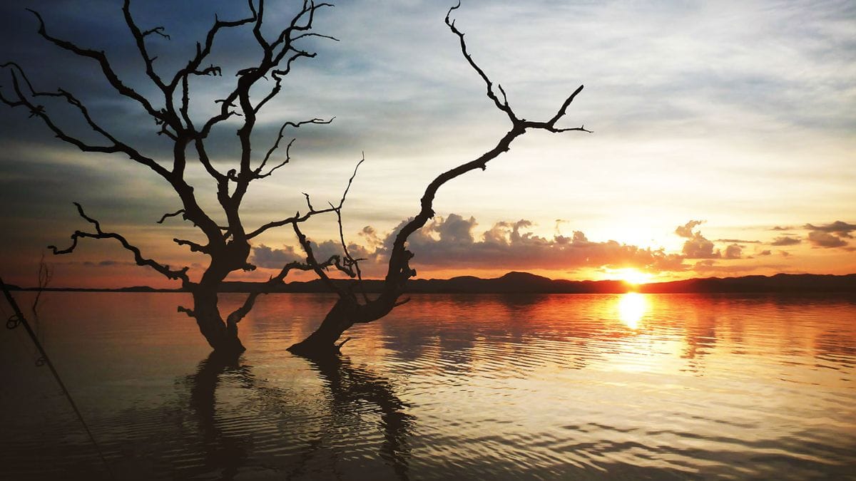 Lago de Serra da Mesa/Divulgação