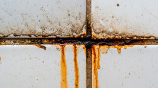 Manter o rejunte do banheiro ou da cozinha limpo, claro e com aparência de novo é uma tarefa que exige cuidado constante.