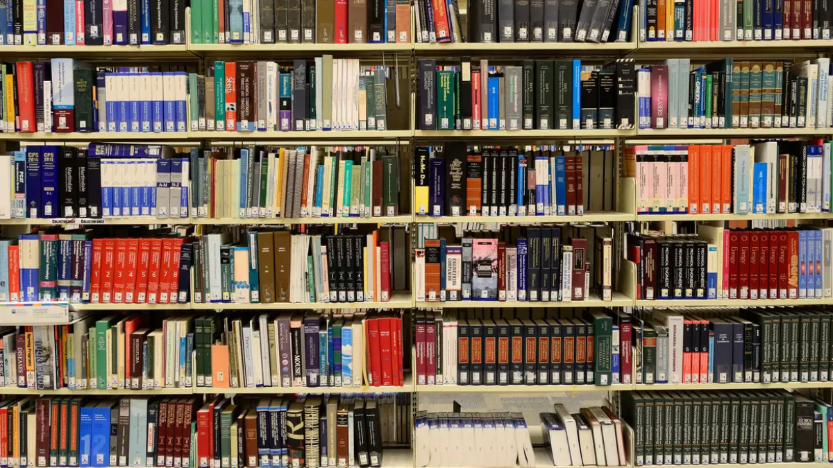 O aplicativo opera sob um modelo de biblioteca pública digital