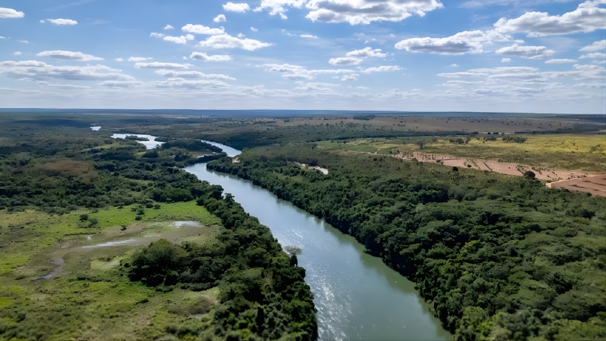 A implementação é próxima ao Rio Sucuriú, famoso pela pesca esportiva (Arauco/Divulgação)