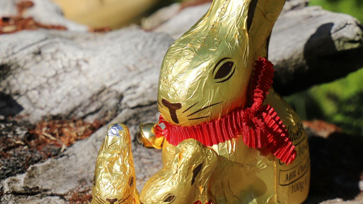 Mesmo com lucro em alta e forte geração de caixa, analistas apontam dúvidas sobre crescimento das vendas da Lindt /Pexels