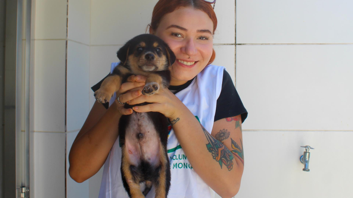 Para quem não participou do evento de adoção, o atendimento para cadastro segue disponível de segunda a sexta-feira