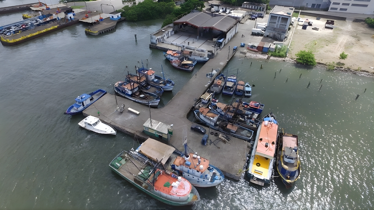Empresas do Porto de Santos estão contratando também em São Vicente e Guarujá (Renan Lousada/DL)