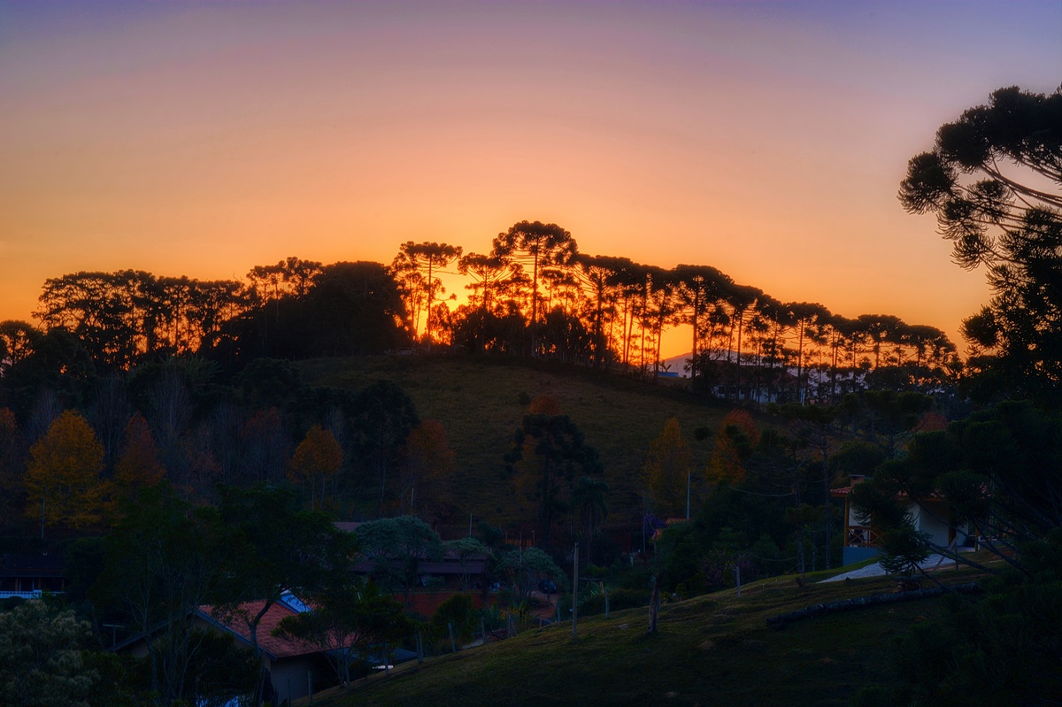 Santo Antônio do Pinhal é reconhecido como estância climática pelo Governo de São Paulo